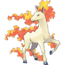 Rapidash.png