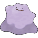 Ditto.png