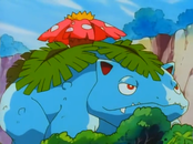 Pokémon Land Venusaur.png