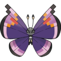 Elegant Vivillon.png