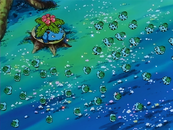 Venusaur - Mysteryous Garden.png