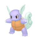 Shiny Wartortle.png