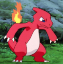 Sam's Charmeleon.png