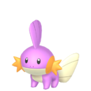 Shiny Mudkip.png