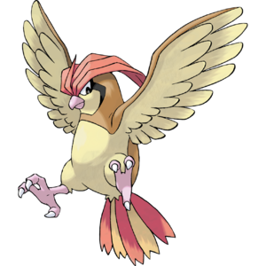 Pidgeotto.png