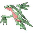 Grovyle.png