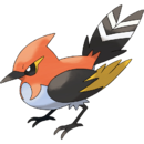 Fletchinder.png