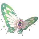 Shiny Gigantamax Butterfree.png