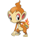 Chimchar.png