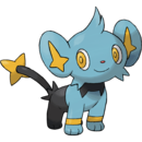 Shinx.png