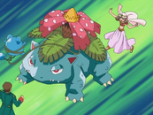 May's Venusaur.png