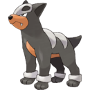 Houndour.png