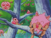 Pink Pokemon.png