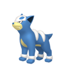 Shiny Houndour.png